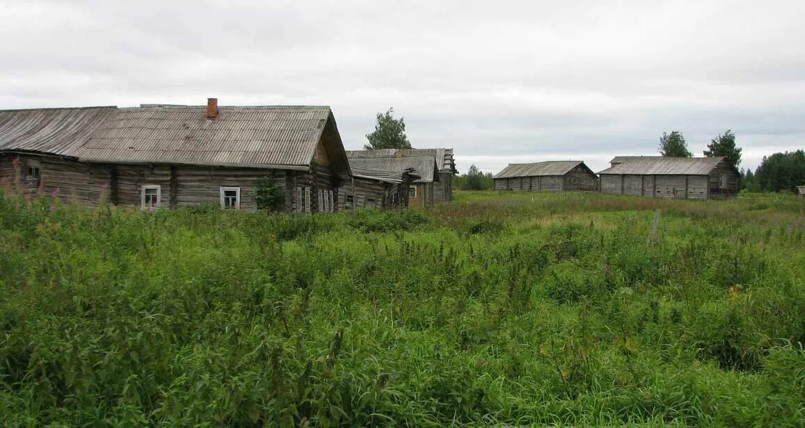Вид на деревня Вижево